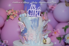 Caldeen-Craig-Baby-Shower-488