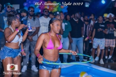 MID-SUMMER-NIGHT-FETE-2024-246